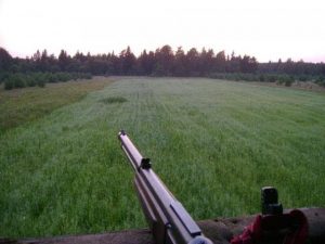 с каким калибром ходить на медведя